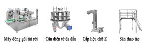 Máy đóng gói túi rời cân điện tử