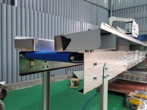 Băng tải cấp liệu máy đóng gói ngang 5E31